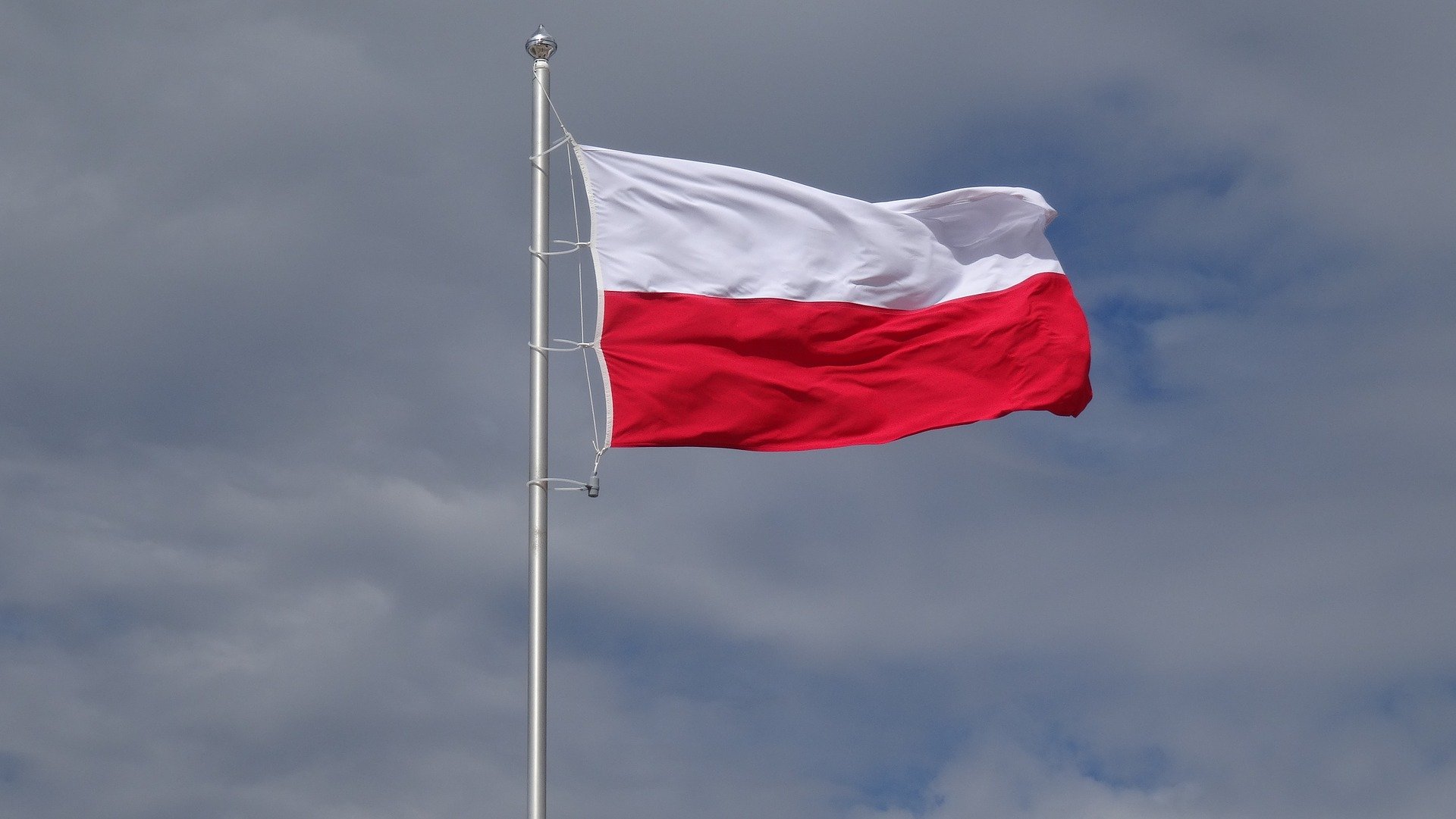 Obchody Dnia Flagi w Kielcach
