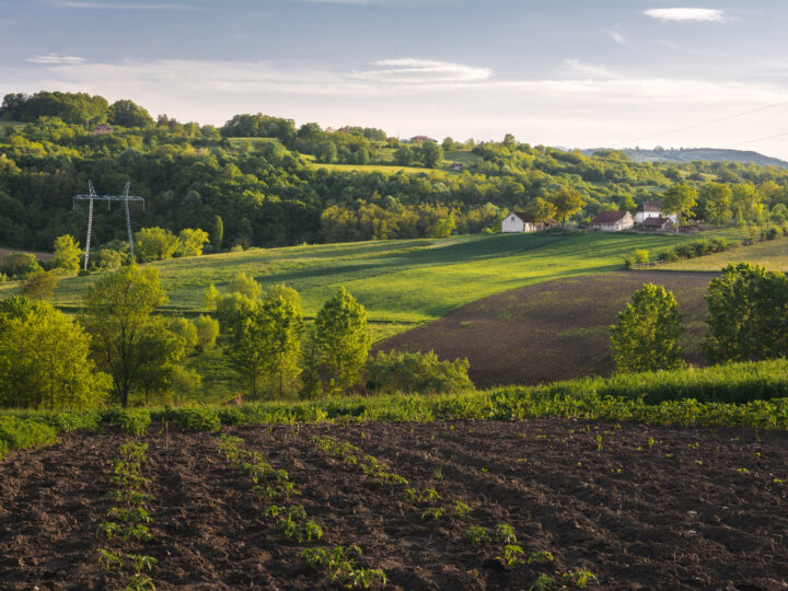 Trwa spór o dwa hektary gruntu nieopodal Kielc