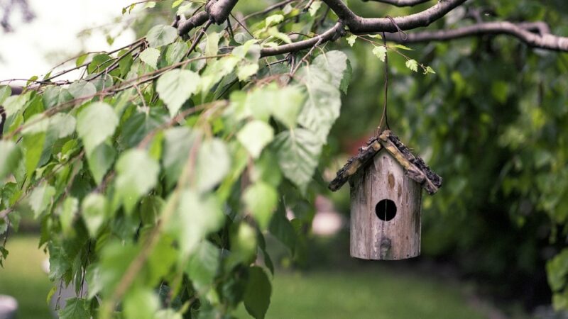 Kielecka Geonatura świętuje 20-lecie i planuje nowe inwestycje