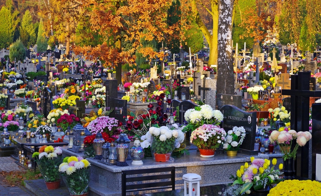 Częstsze wywozy odpadów i możliwość korzystania z meleksów: zmiany na cmentarzach.