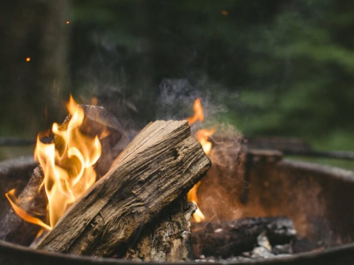 Majówka z kiełbaską w Ogrodzie Botanicznym – święto miłośników przyrody