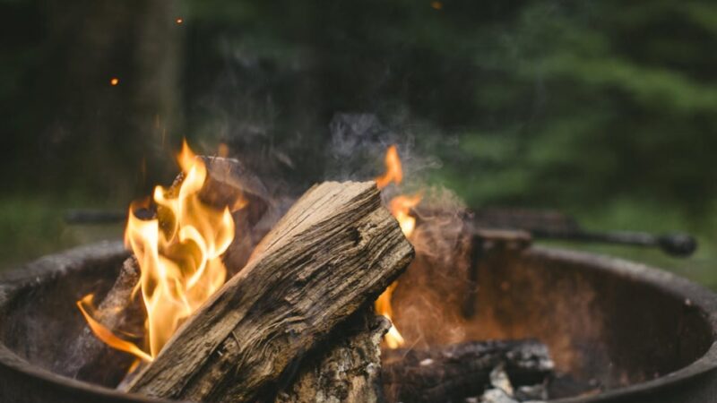 Majówka z kiełbaską w Ogrodzie Botanicznym – święto miłośników przyrody