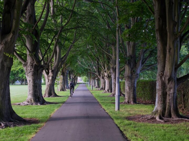 Kielce zyskają nową przestrzeń zieleni – park na północy zastąpi zaniedbane samosiejki