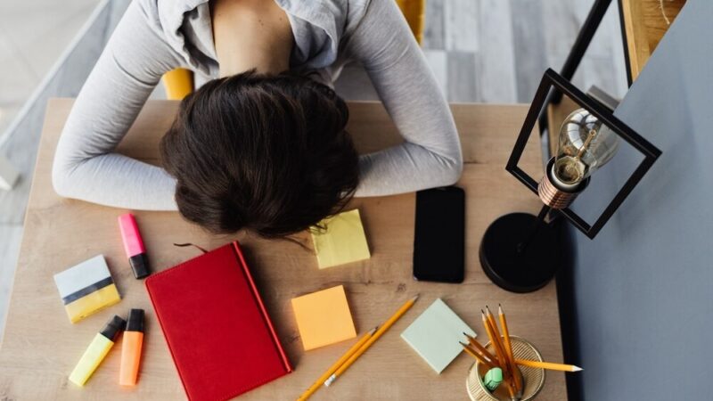 Mąchocice świętują Żeromskiego: Pasja i tradycja w sercu społeczności