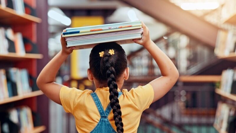 Edukacja ekologiczna w Kielcach: Jak młode pokolenia mogą zadbać o czyste powietrze?