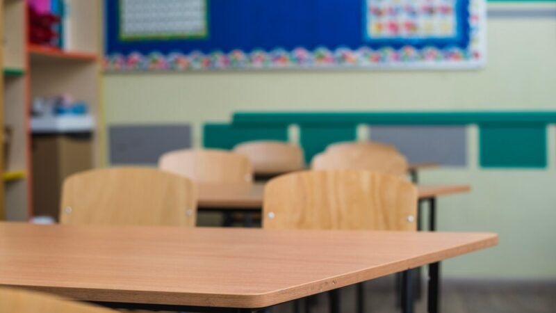 Zielona Kreatywność: Konkurs Eko-Skarbonek dla Młodych Ekologów!