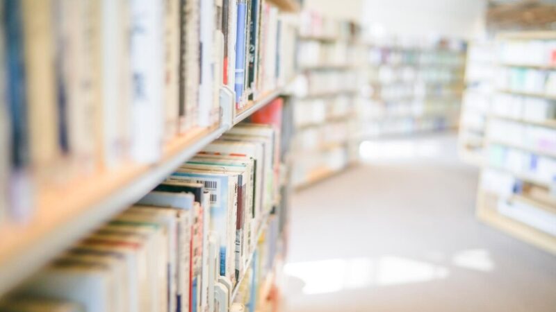 Zainspiruj się pięknem stworzenia w twórczości Jana Pawła II!