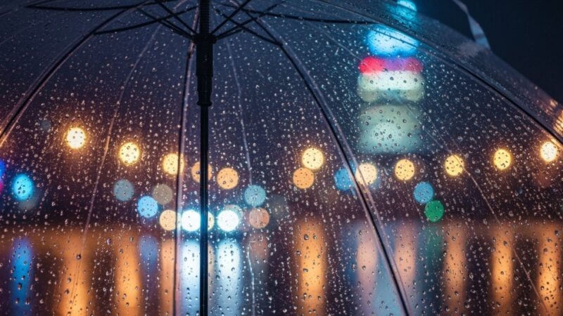 Gęste mgły w Kielcach – alert IMGW!