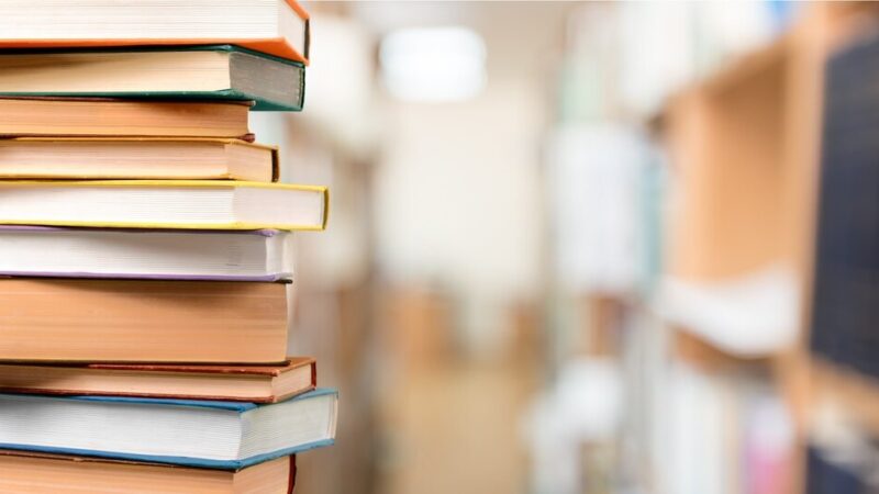 Bibliotekarz Roku 2024 z Miedzianej Góry: Sukces lokalnej biblioteki!