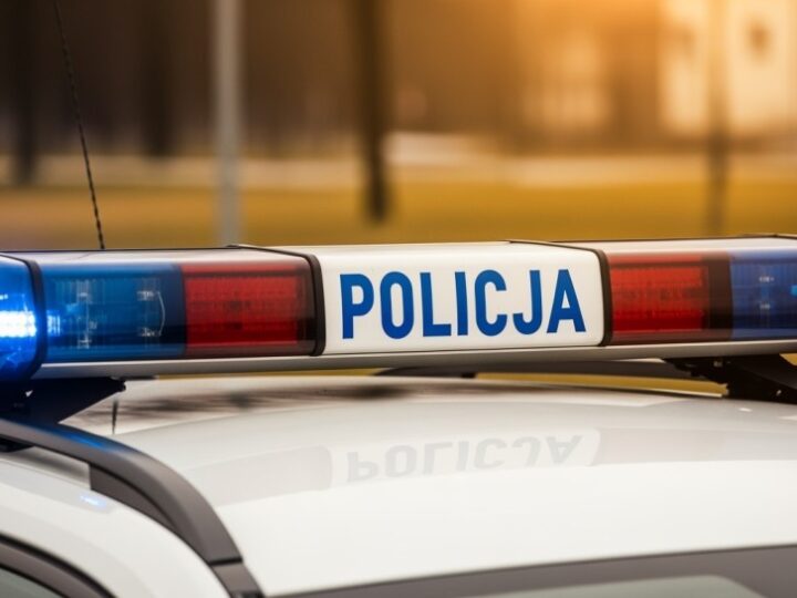 Mali Odkrywcy Bezpieczeństwa: Brzeziny w Szkole Straży Miejskiej!