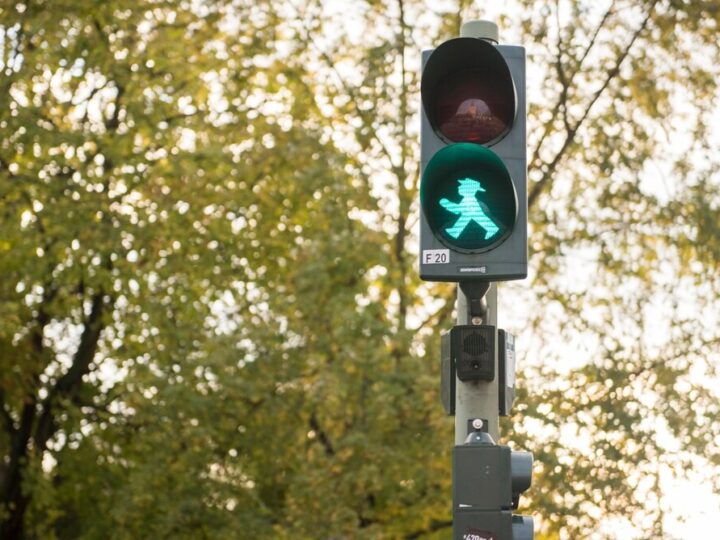 Odblaskowa choinka promuje bezpieczeństwo na drogach