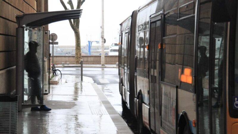 Oblodzone drogi, opóźnione autobusy – jak śledzić ich lokalizację?