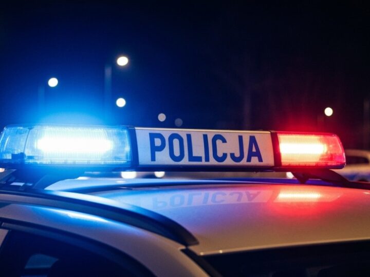 Pijany kierowca z zakazem trafił za kratki