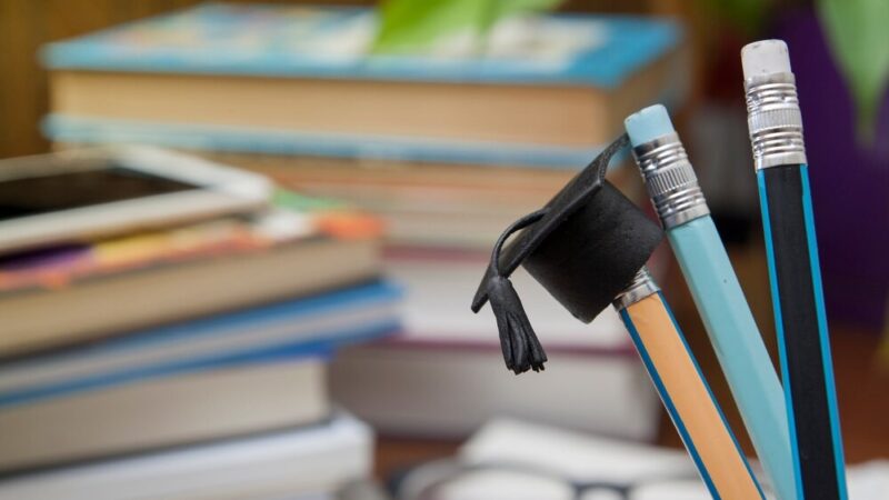 Młoda liderka z Brzezinek w Radzie Dzieci i Młodzieży przy Europejskim Centrum Bajki