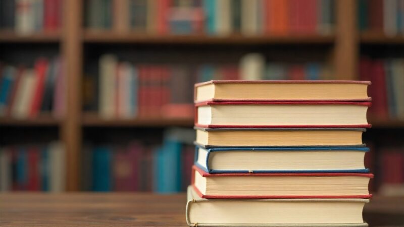 Literackie triumfy w „Pięknie stworzenia” – poznaj zwycięzców!