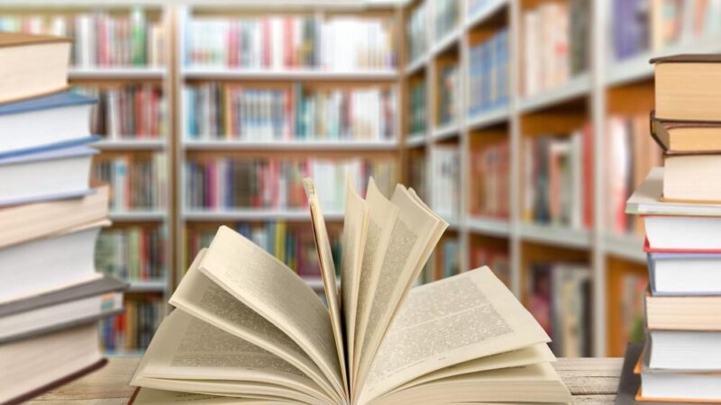 Tajemnice i zakazane miłości w Dyskusyjnym Klubie Książki w Bodzentynie