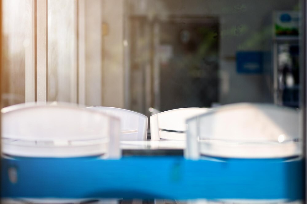 Nowy przewodnik wsparcia psychicznego w Kielcach na 2026 rok