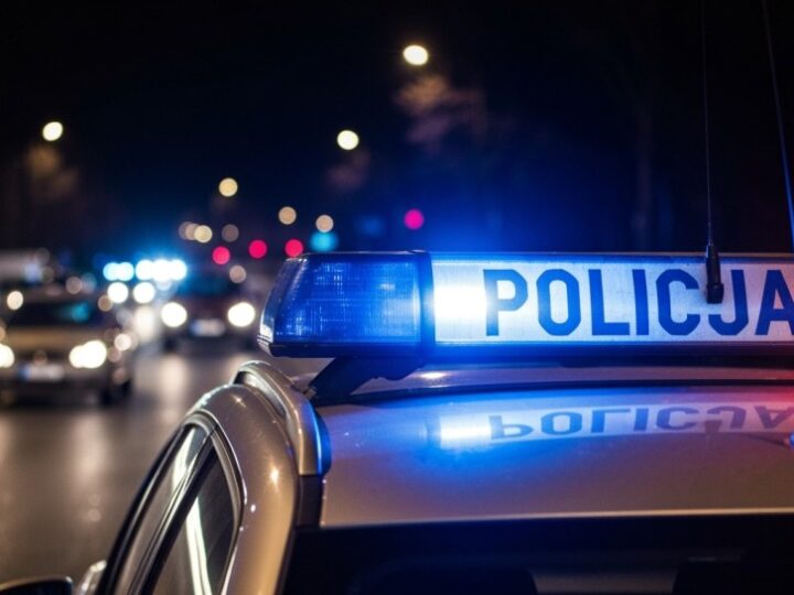 Horror w Zagnańsku: 11 bokserów uratowanych z piekła hodowli!