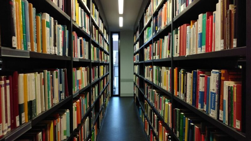 Dyskusyjny Klub Książki w Bodzentynie: emocjonujące spotkanie z thrillerem i historią królowej Saby