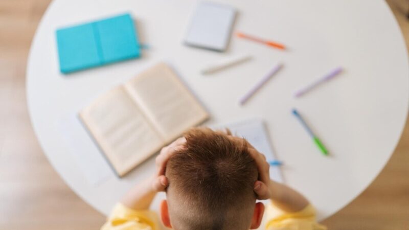 Finansowa edukacja w Chęcinach: Młodzież i seniorzy odkrywają budżet gminy