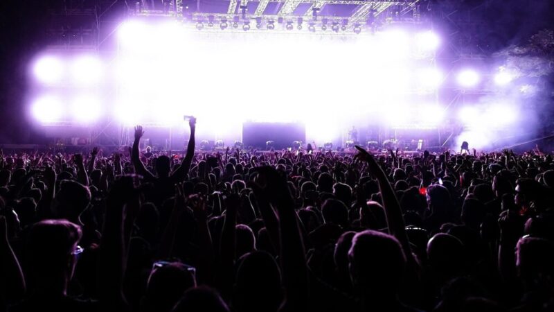 Muzyczny koncert dla psów – charytatywna inicjatywa w Kielcach!