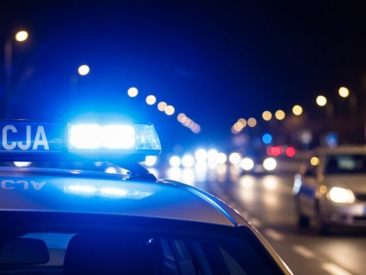 Zatrzymani za nielegalny przewóz stroiszu w Nadworowie