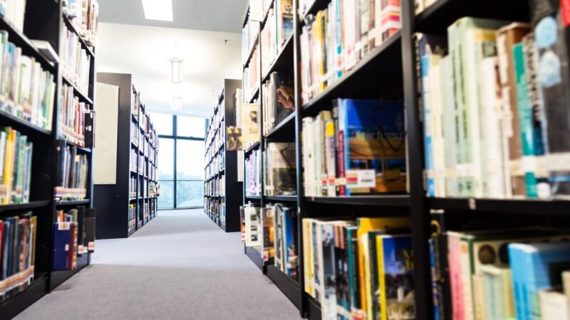 Lalki literackie: Sztuka ożywia książki w Nowinach