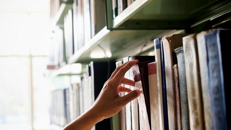 Marta Bijan: Odkryj tajemnice literackiego świata w Bodzentynie
