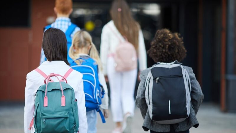 Nowy Dyrektor Poszukiwany: Kształtuj Przyszłość Edukacji w Chmielniku!
