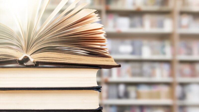 Literacko-ekologiczne warsztaty z Aliną Przydatek dla młodych twórców!