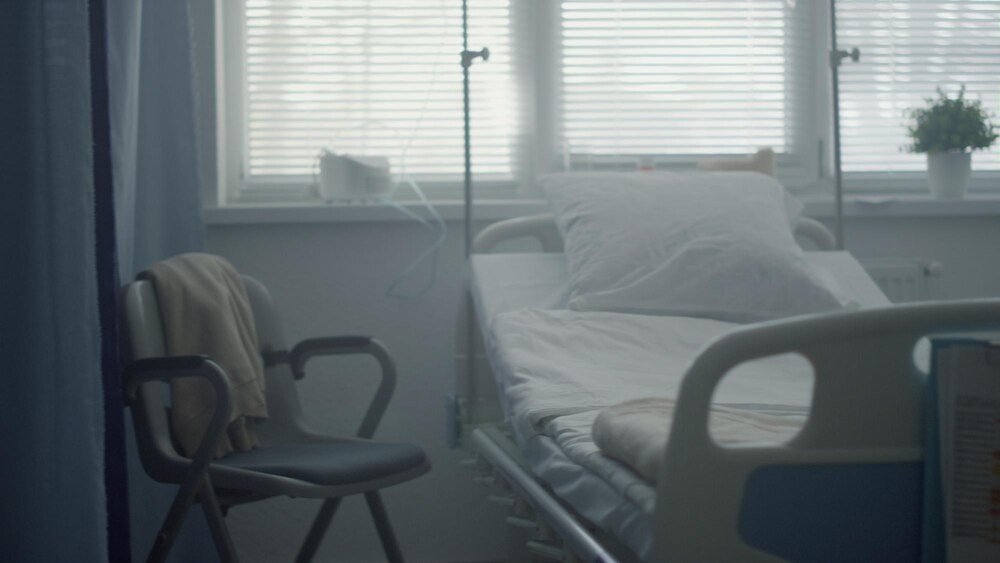 Epidemia grypy ptaków w Gminie Raków: apel do hodowców drobiu