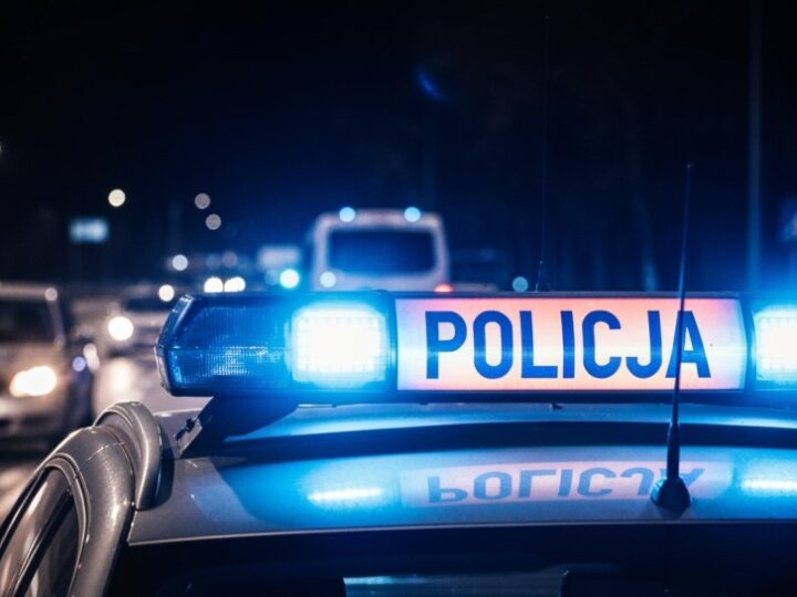 31-latka aresztowana za kradzież 225 tysięcy złotych z salonu samochodowego