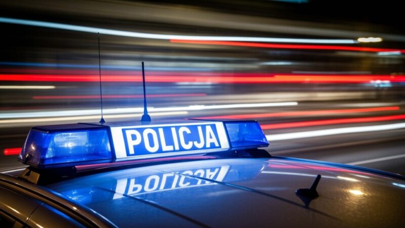 Zlikwidowano nielegalną uprawę konopi w gminie Turobin