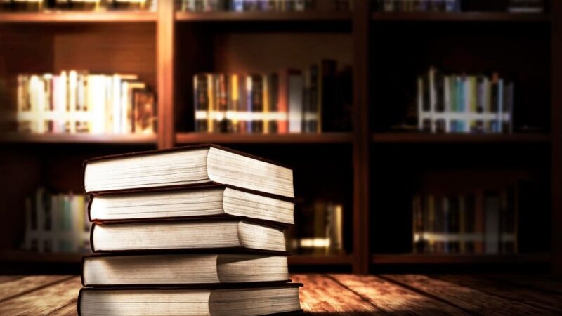 Emocje i dylematy w literaturze: Dyskusyjny Klub Książki w Bodzentynie