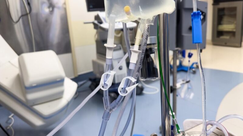 Kąpielisko zamknięte z powodu zakwitu sinic – zdrowie na pierwszym miejscu!