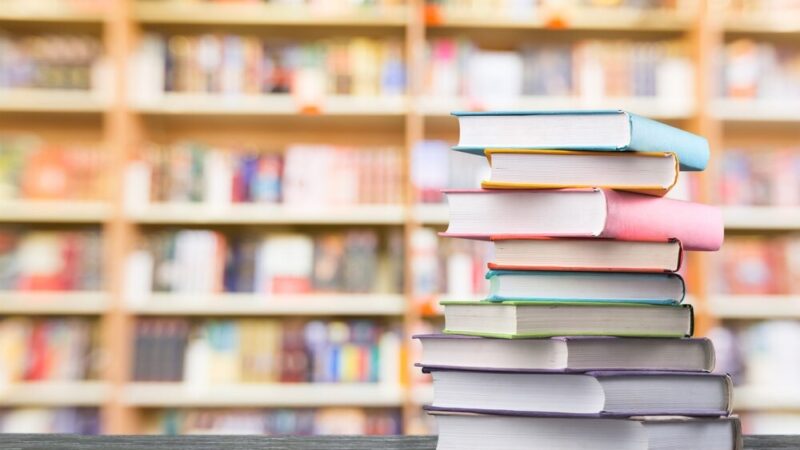 Literacka podróż z Gminną Biblioteką Publiczną w Masłowie!