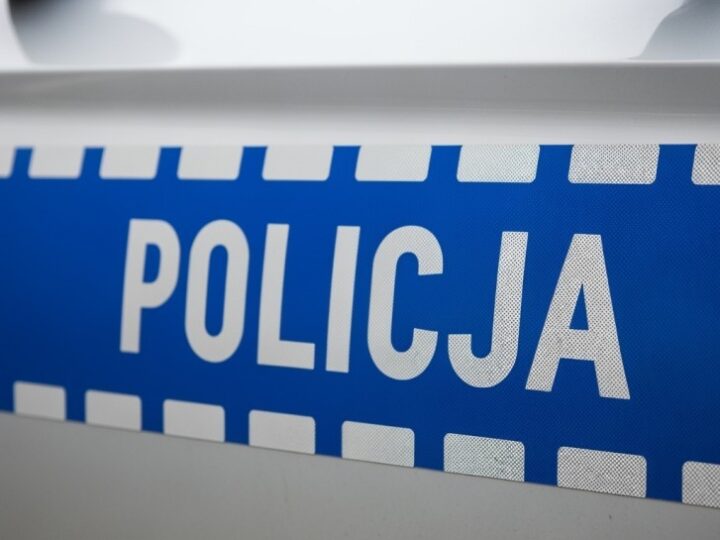 Kynologiczne Mistrzostwa Policji w Kielcach: Zacięta rywalizacja z czworonożnymi partnerami