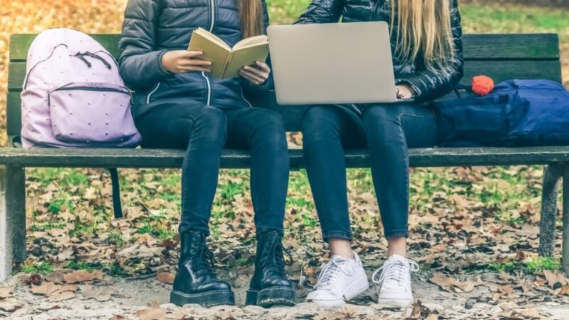 Chęciny zdobywają prestiżowy certyfikat zdrowia dla szkoły!