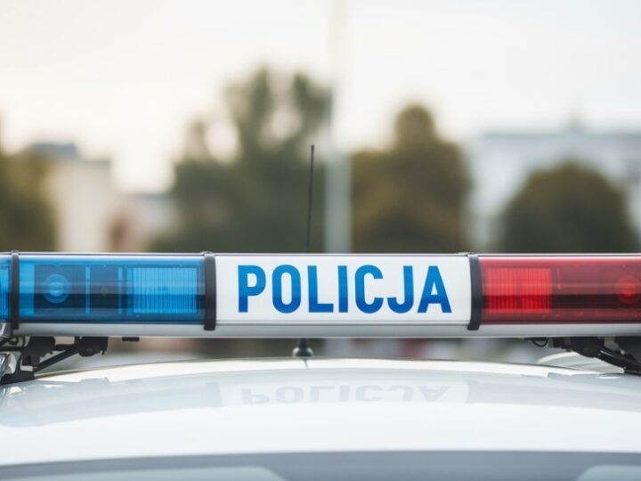 Policjanci ratują sarnę uwięzioną w ogrodzeniu